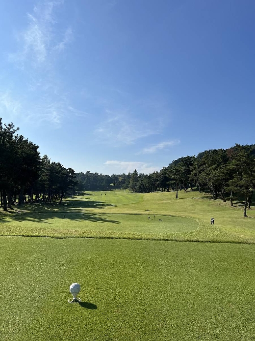 秋晴れです(^^)/