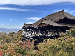 【ふじみ野地区】地区移動理事会開催のご報告